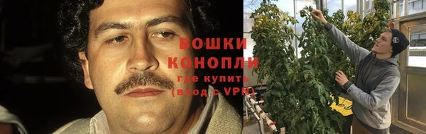 спайс Алзамай