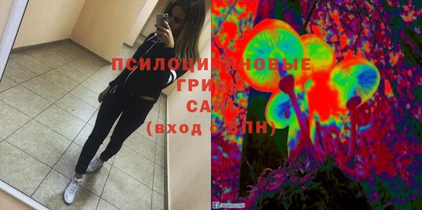 стаф Абинск