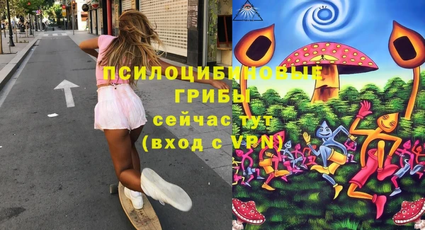 гидра Алексин