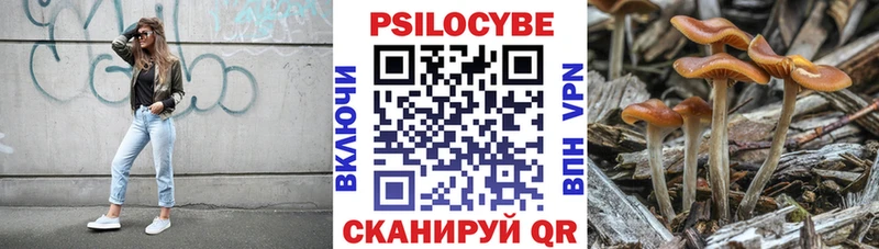Псилоцибиновые грибы прущие грибы Тейково